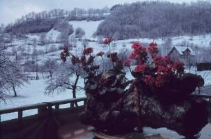 Wehr. Blick von der Veranda in winterliche Landschaft