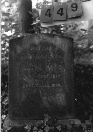 Grabstein 449 [Hahn S. 242 Grab-Nr. 562]