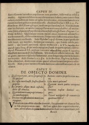 Caput V. De Obiecto Dominii.