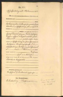 Standesamtsbuch der Stadt Aschaffenburg: Geburten 365/1900 - 184/1901