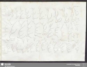 Pl. III. pag. 70