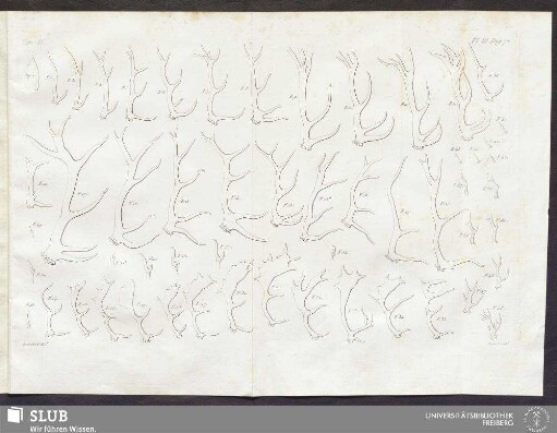 Pl. III. pag. 70