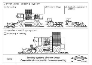Seeding systems of winter wheat, conventional compared to harvester seeding
