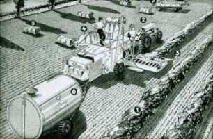 Schemazeichnung: Ernteverfahren, Erntetechnik, Mähdrescher gezogen, Absackanlage