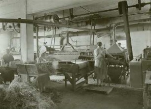 Flachsröste, Arbeitsabläufe, Flachsschwingturbine, Neusalza-Spremberg, 1938