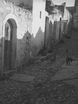 Ziegen in einer Gasse : Ziegen in einer Gasse von Kastelli.