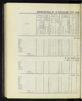 Zusammenstellung der im Kalenderjahr 1900 vorgekommenen Brände mit Angabe ihrer Entstehungsursachen.