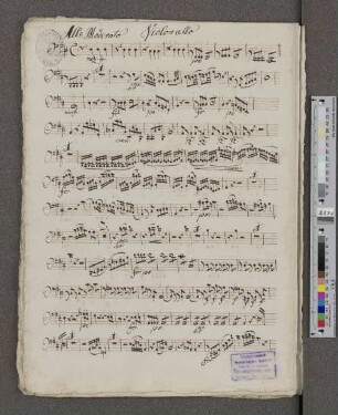 Allo Moderato Violonallo