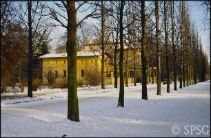 Potsdam, Park Sanssouci, Allee an Grünen Gitter im Winter.