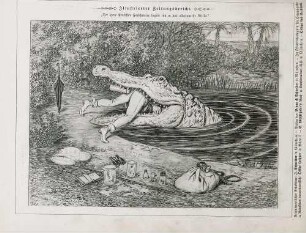 "Illustrierter Zeitungsbericht"