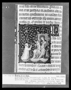 Petites Heures des Herzogs von Berry — Kleinbild, 10-zeilig: Jean de Berry im Gebet vor Maria, Folio 198verso