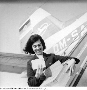 Stewardess