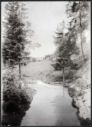 Partie im Göltzschtal