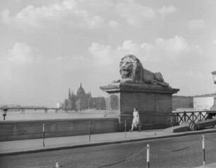 Löwenstatue Am Brückenkopf der Kettenbrücke In Budapest