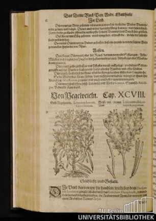 Cap. XCVIII. Von Negelveieln.