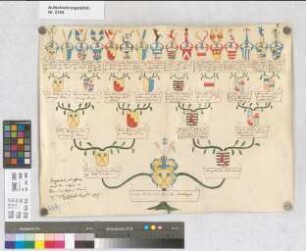 Proband: Boeselager, Caspar Anton Karl Maria von; Vater: Boeselager, Friedrich Joseph von; Mutter: Heyden gen. Belderbusch, Augusta von der: Münster, Domkapitel