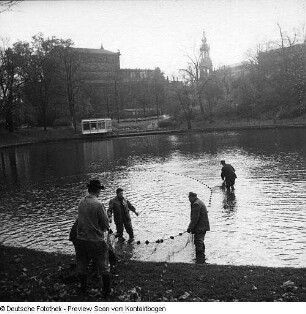 Fischfang im Zwingerteich