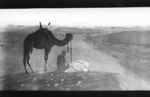 Rund um (?) Afrika - Gebet in der Wüste