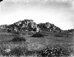 Felsmassiv : Blick auf ein Felsmassiv. Im Vordergrund dichter Gräserbewuchs mit einzelner buschartiger Vegetation