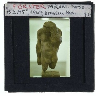 Förster, Männlicher Torso
