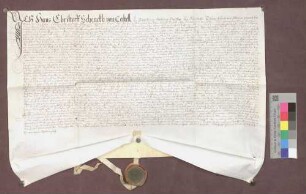 Lehnrevers des Hans Christoph Schenk von Castell gegenüber dem Basler Domkapitel wegen des Dinghofs zu Istein.