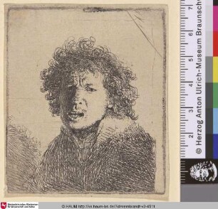 [Selbstbildnis mit geöffnetem Mund; Self-Portrait Open Mouthed, as if Shouting: Bust; Portrait de Rembrandt à la bouche ouverte]