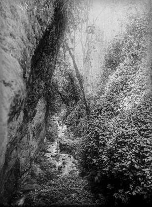Bach : Bach in einer Schlucht im Ruwenzori-Gebirge