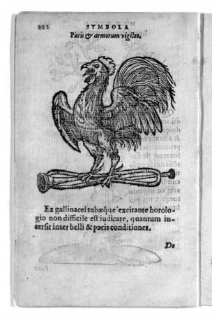 Pacis & armorum vigiles.