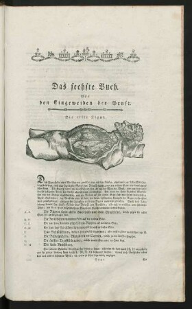 Das sechste Buch. Von den Eingeweiden der Brust.