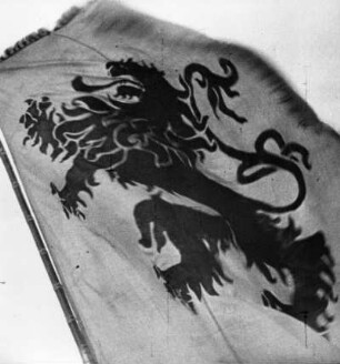 Der flandrische Löwe auf der flämischen Nationalfahne, Flandern