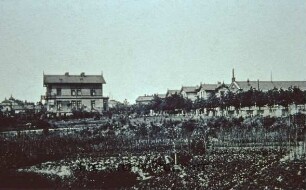 Blick auf die Salinenstrasse