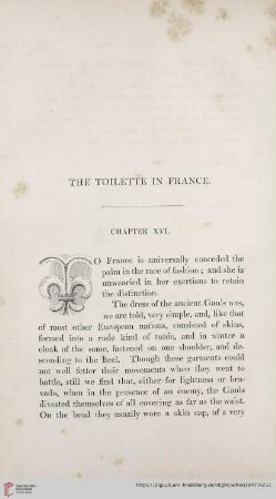 The toilette in France