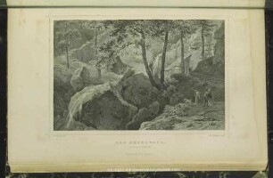 Der Amselfall