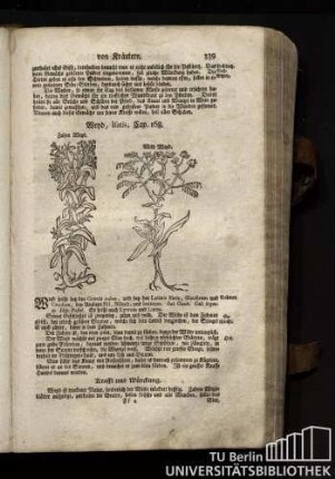 Cap. 168. Weyd, Isatis.