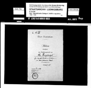 Die Pfingstorgel. Moritat von Alois Johannes Lippl