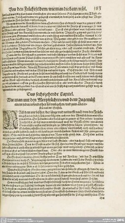 Das sechszehende Capitel. - Das zwentzigste Capitel.