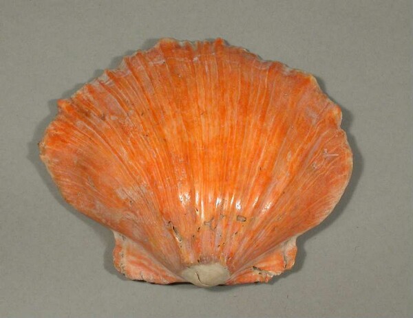 Spondylus-Schale