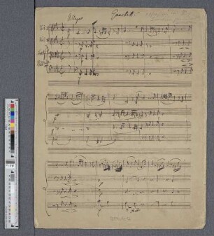 Quartett. Allegro [c-Moll]