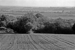 Landwirtschaft: Feld mit Aussaat: dahinter Knicklandschaft: hinten rechts Mühle und Häuser