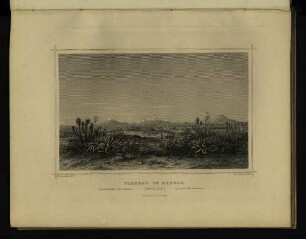 Plateau of Puebla.