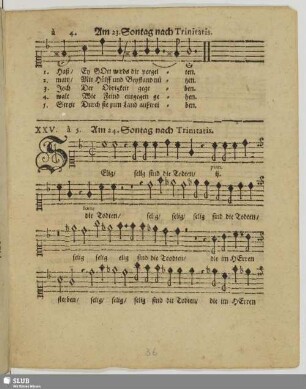 XXV. Am 24. Sontag nach Trinitatis: Selig sind die Todten