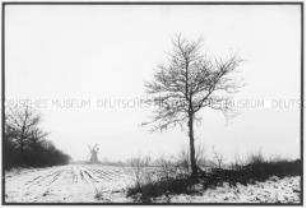 Schneelandschaft (Altersgruppe 18-21)