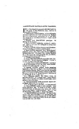 Gazohpylacii Naturae & Artis Tab. XXXIX