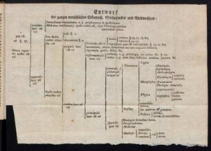 Entwurf der ganzen menschlichen Erkentniß, Gelehrsamkeit und Weltweißheit:[...]