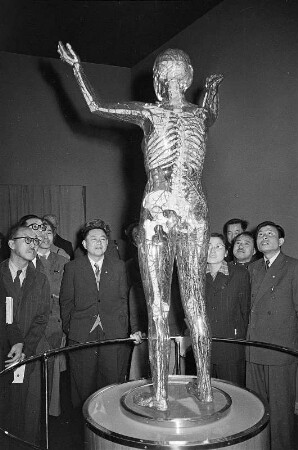 Dresden, Deutsches Hygiene-Museum. Chinesische Delegation vor der Gläsernen Frau.