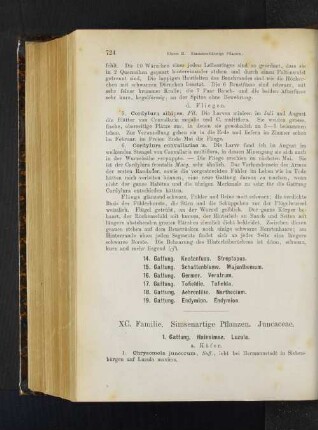 14. Gattung. Knotenfuss. Streptopus. 15. Gattung. Schattenblume. Majanthemum. 16. Gattung. Germer. Veratrum. 17. Gattung. Tofieldie. Tofielda. 18. Gattung. Aehrenlilie. Narthecium. 19. Gattung. Endymion. Endymion.