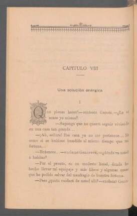 Capítulo VIII - Una solución enérgica