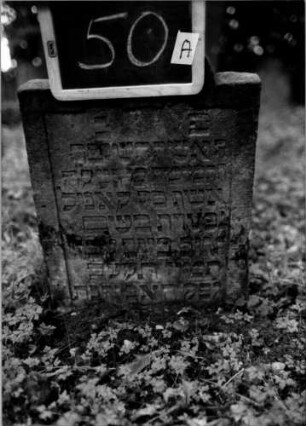 Grabstein 50 [Nir S. 48 Nr. 4.01]: Grabstein 50A [Nir S. 48 Nr. 4.01]