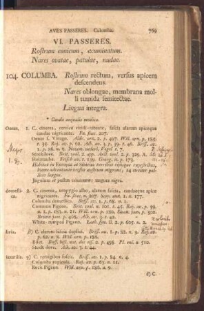 VI. Passeres