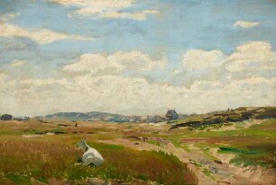 Ziege in der Marsch auf Sylt